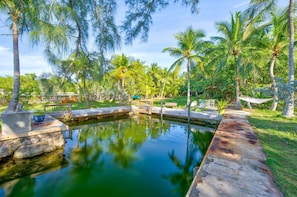 Zona de piscina tranquil·la, amb un camí de pedra, envoltada de vegetació exuberant i palmeres.