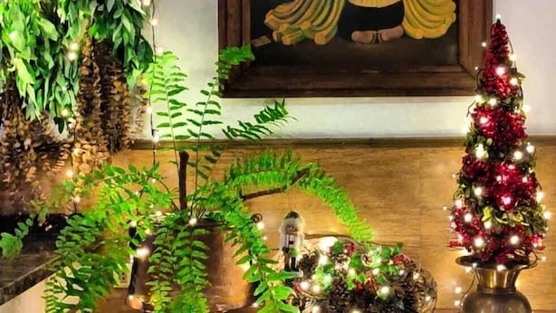 Ein dekorierter Innenraum mit einem gerahmten Gemälde, künstlicher Bepflanzung und einem Weihnachtsbaum.