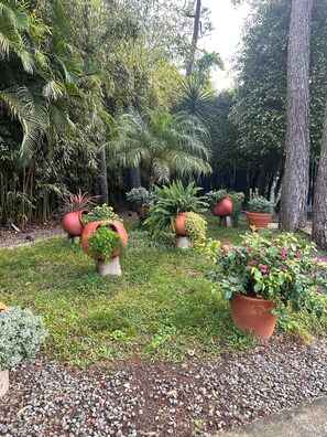 Un jardín con plantas en macetas y árboles variados.