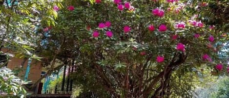 Terrain de lâhĂ©bergement