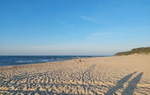 In Strandnähe, Angeln