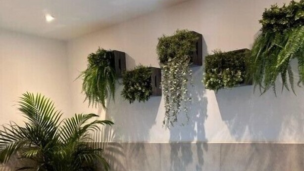 Un baño moderno con una bañera grande, una planta en la pared y una palmera en maceta.
