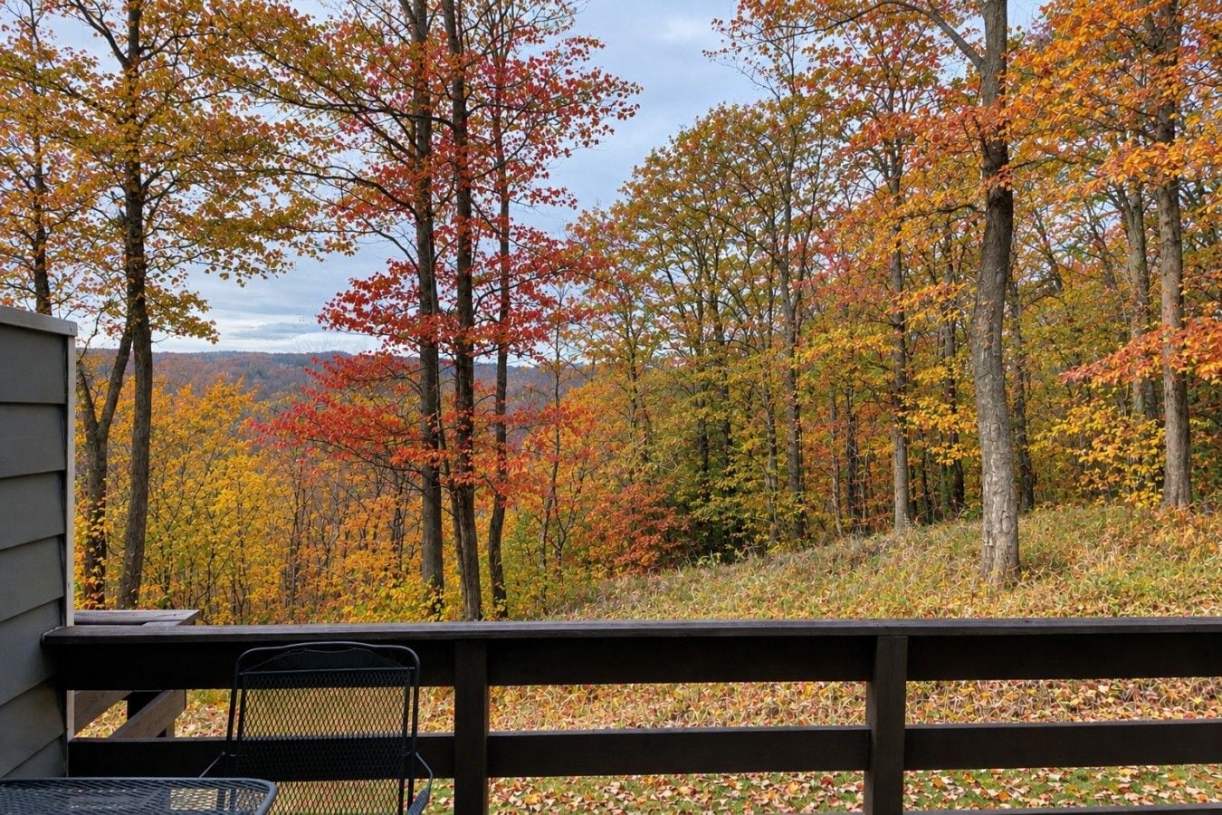 A view from a balcony with a wooden railing, overlooking a forest with autumn-colored trees.