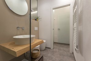 Shower, hair dryer, bidet, towels