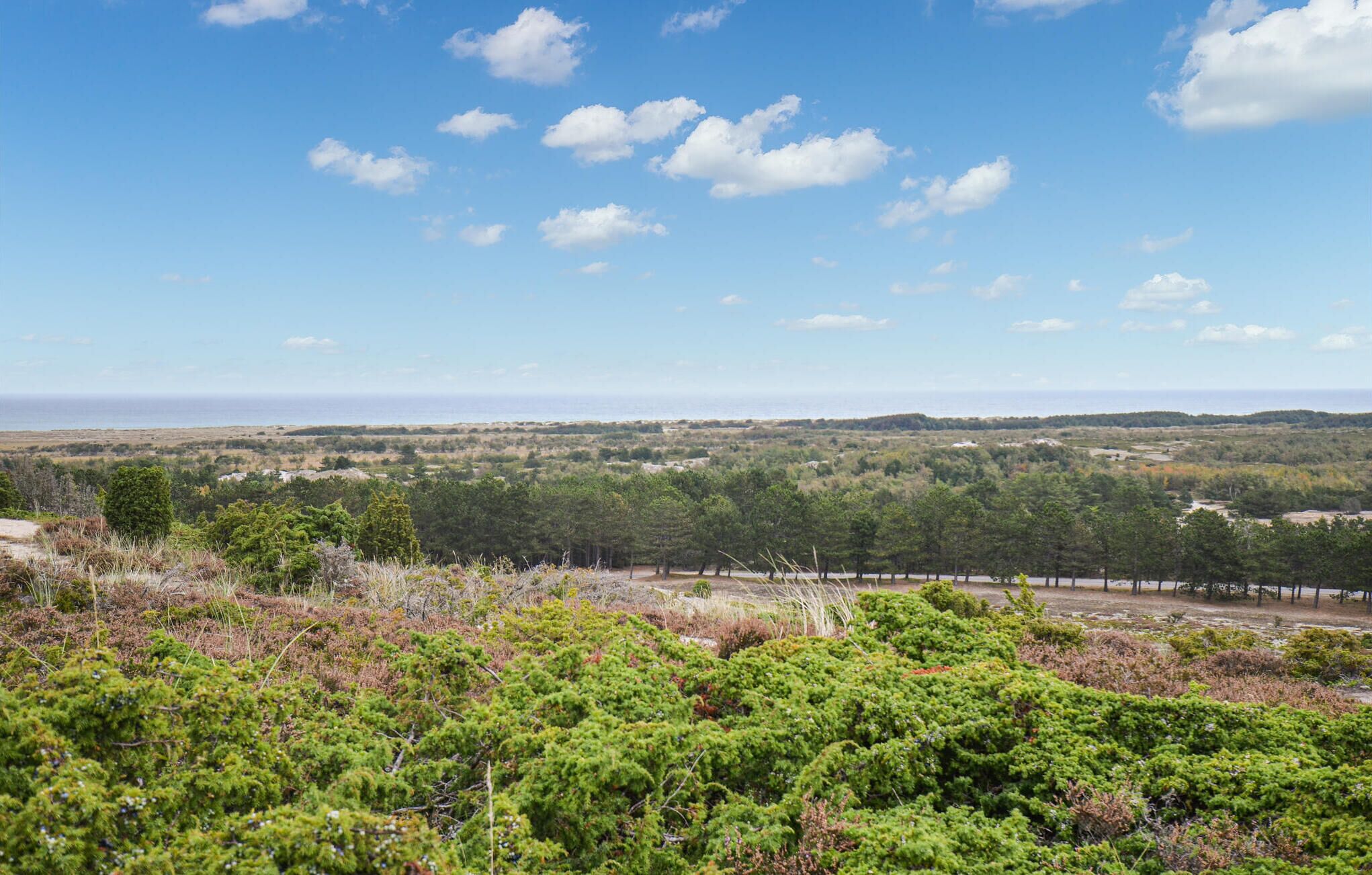 Eine Küstenlandschaft mit üppiger Vegetation und freiem Blick auf das Meer.