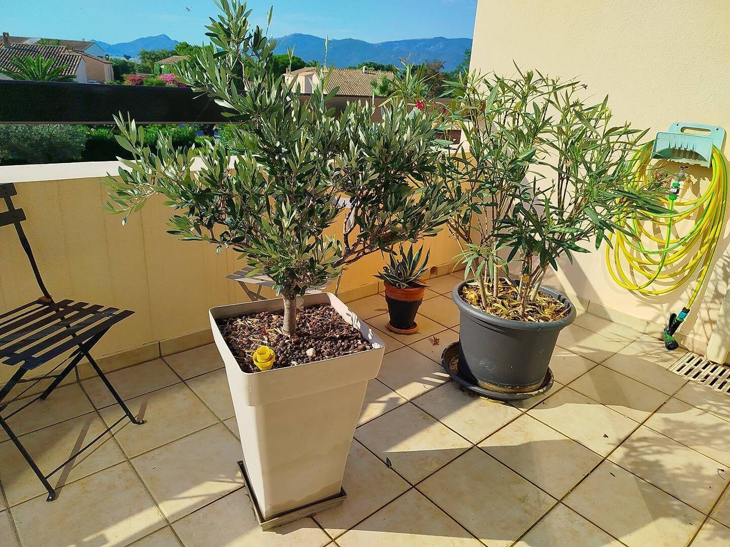 Terrasse/patio