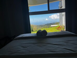 2 bedrooms, in-room safe, free WiFi, bed sheets - Beautiful and cozy apartment, 5kms - approx.10 mins - from downtown Santa Elena
 (Monte Verde)