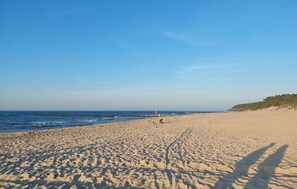 Playa en los alrededores y pesca 
