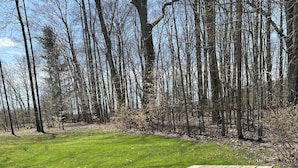A wooden picnic table in a grassy field with trees in the background. - Quaint Cabin #1 - Pymatuning Lake (Jamestown)