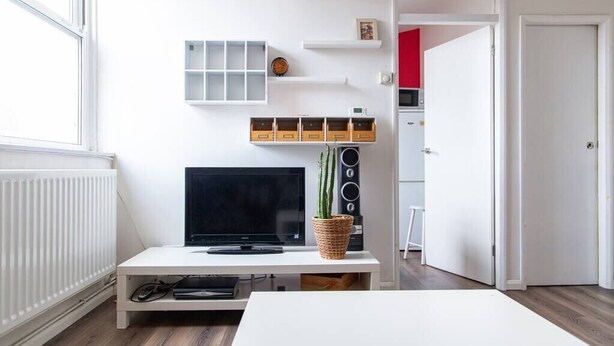 Een moderne woonkamer met een flatscreen televisie, een witte salontafel en een plant.
