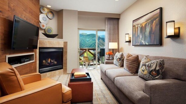 TV, fireplace, DVD player, music library