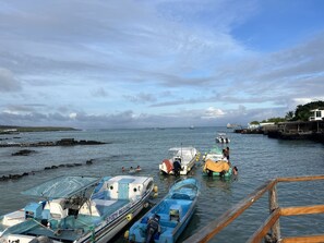 Marina - 2 Suites Equipadas Para que tu Estancia sea Confortable,ven Galápagos Up Suites (Puerto Ayora)
