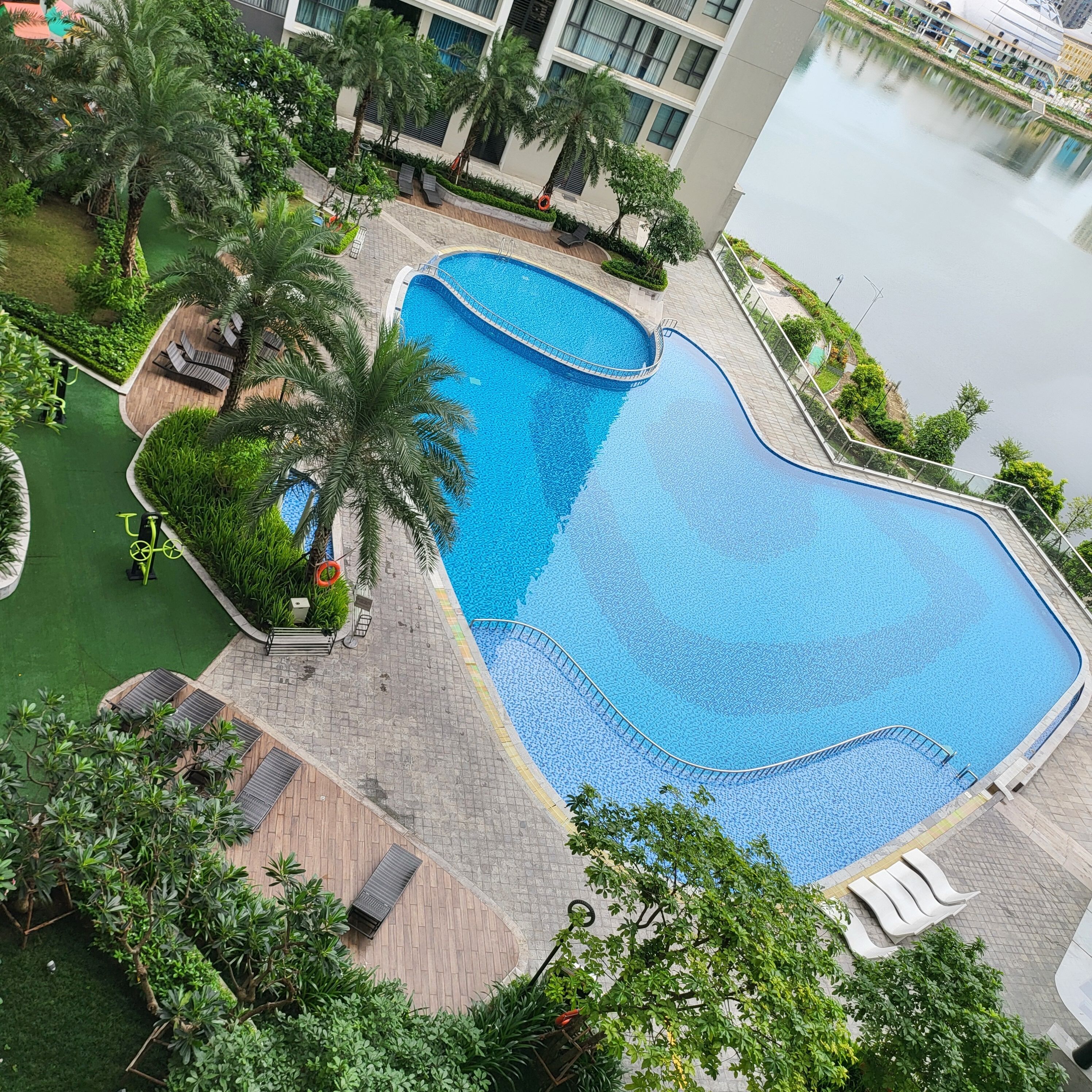 A large, curved swimming pool with a surrounding deck, palm trees, and lounge chairs.
