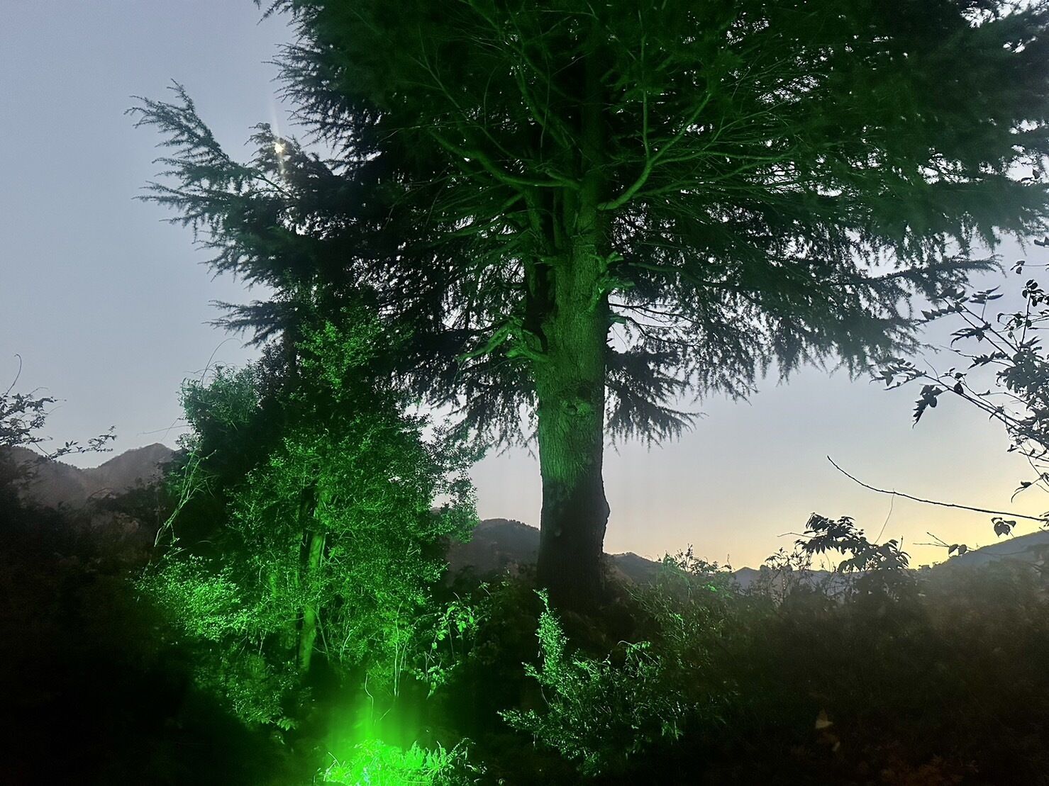 شرفة/رواق