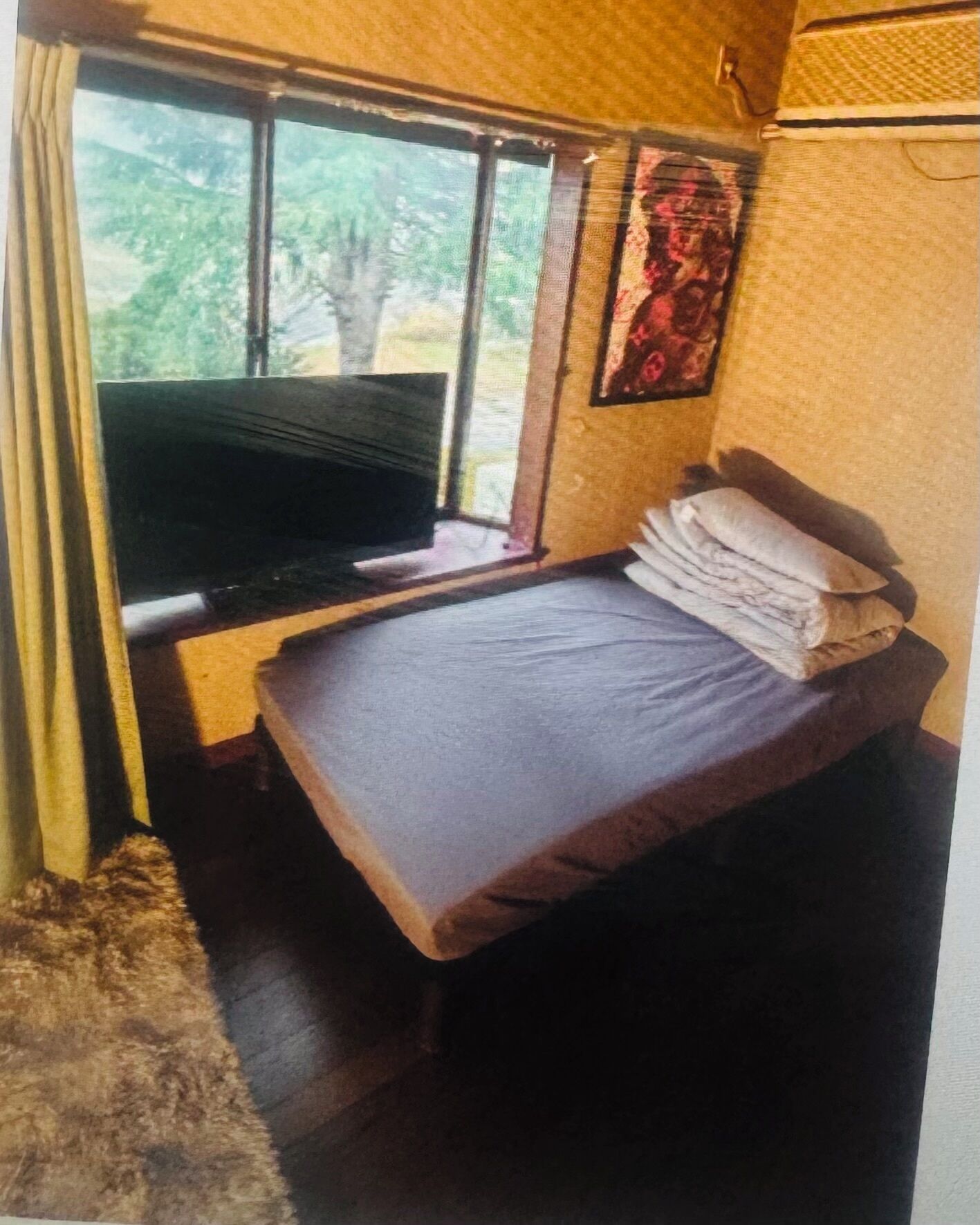 A small, compact room with a single bed, a television, and a window with a view of trees.