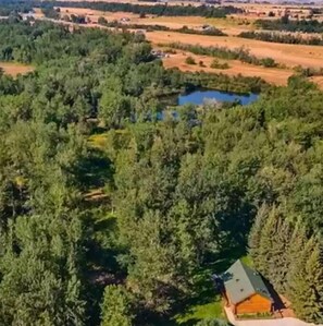 Aerial view - Experience extraordinary peace, privacy, & luxury. Modern log cabin, georgeous!  (Roberts)