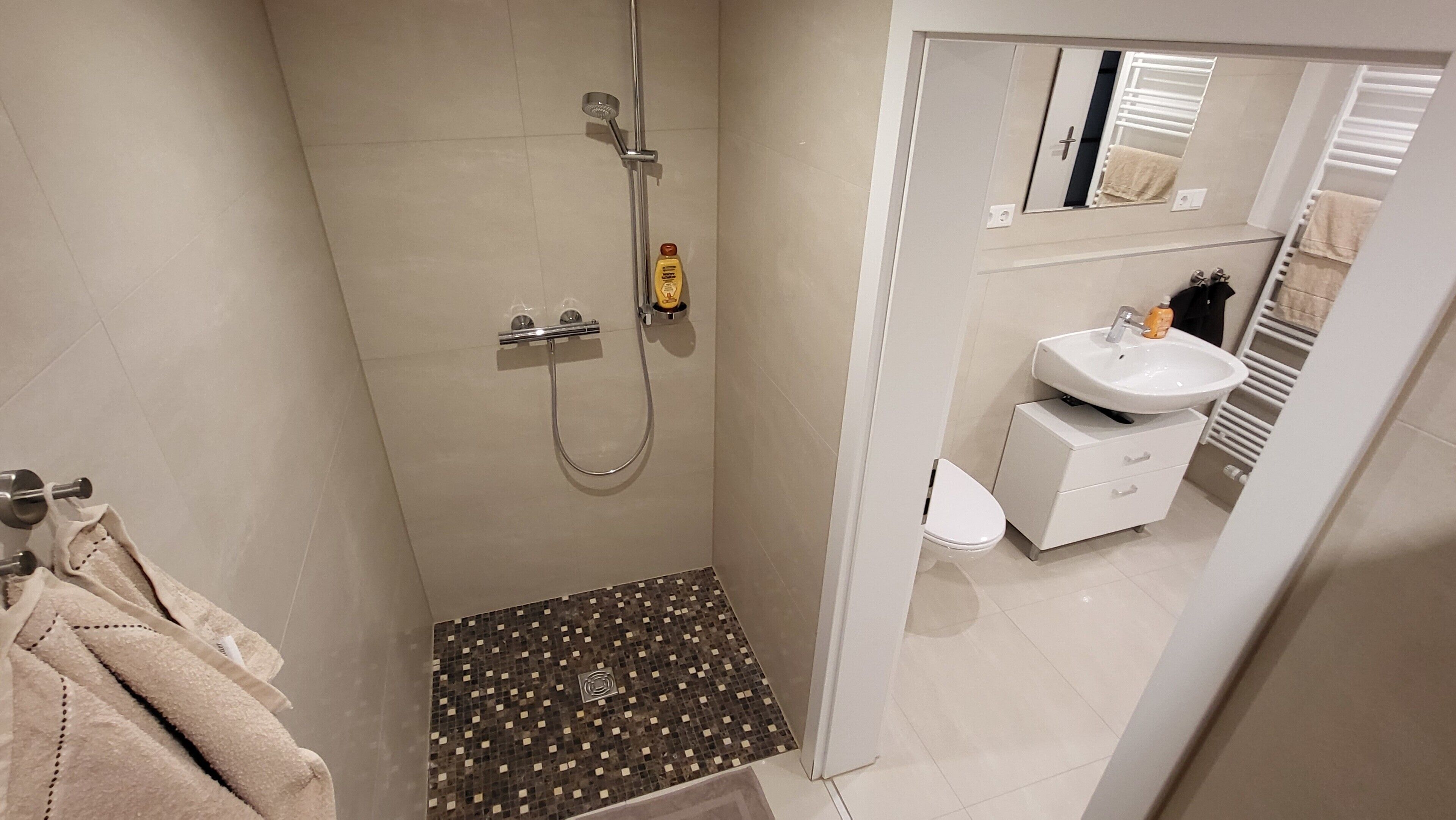 Dusche, Haartrockner, Handtücher