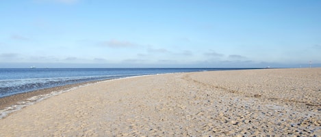 Playa en los alrededores