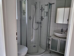 Shower, hair dryer, towels