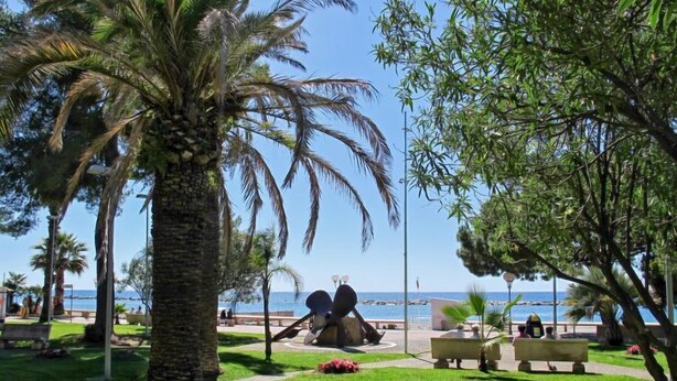 Un parc avec des palmiers, des bancs et une vue sur la mer.