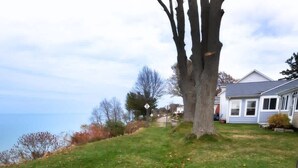 Une cour verdoyante avec un arbre et une maison en arrière-plan.