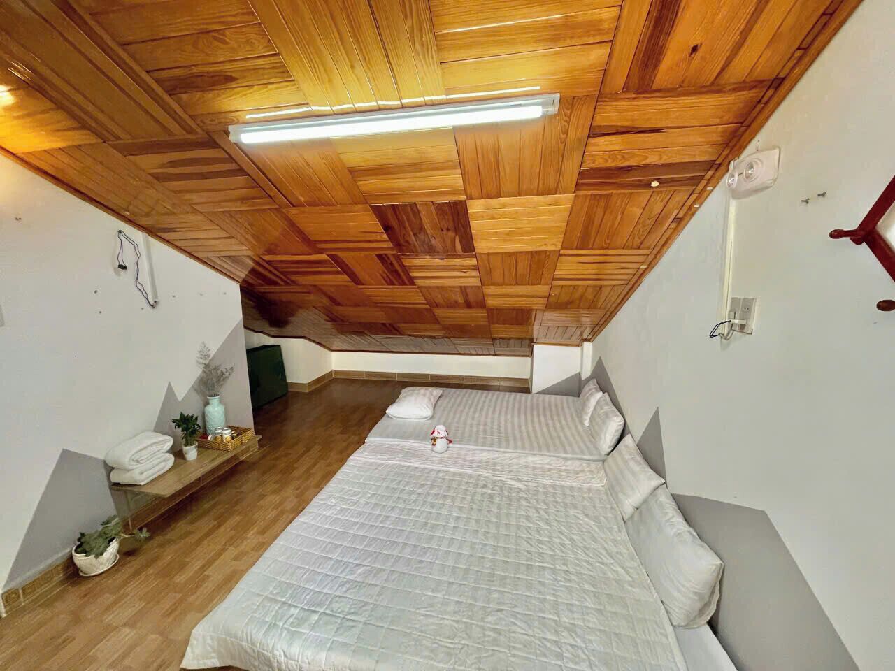 A bedroom with a wooden ceiling, a bed with white bedding, a bedside table with a lamp, and a small plant.