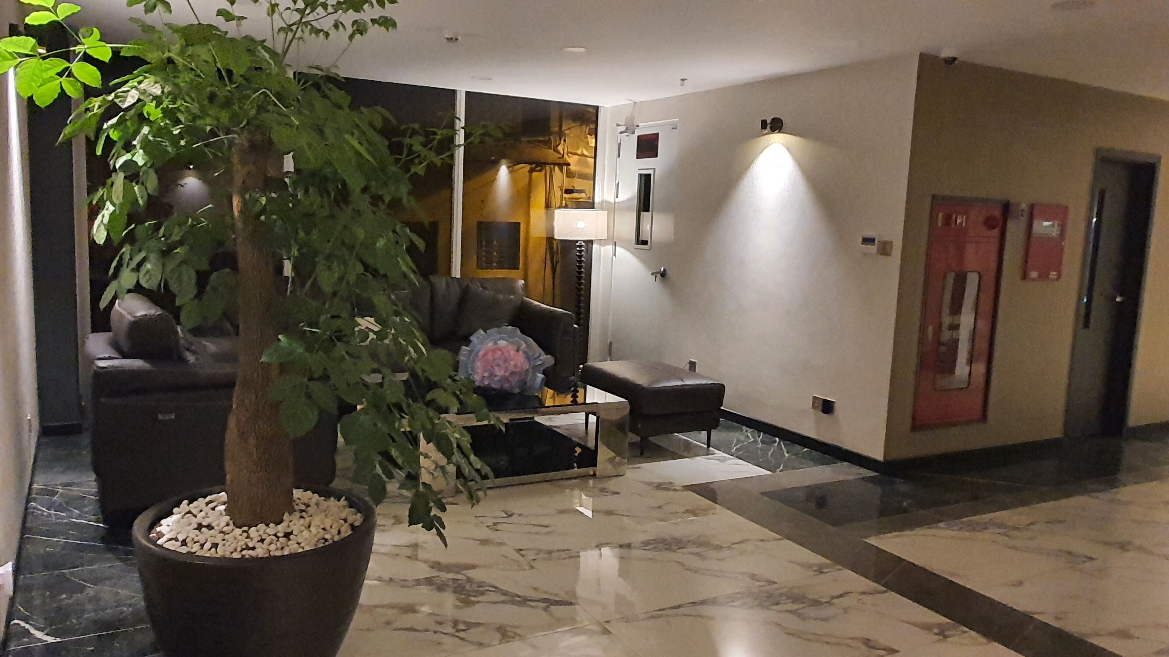 A lobby with a potted plant, a sofa, a small table, and a lamp.