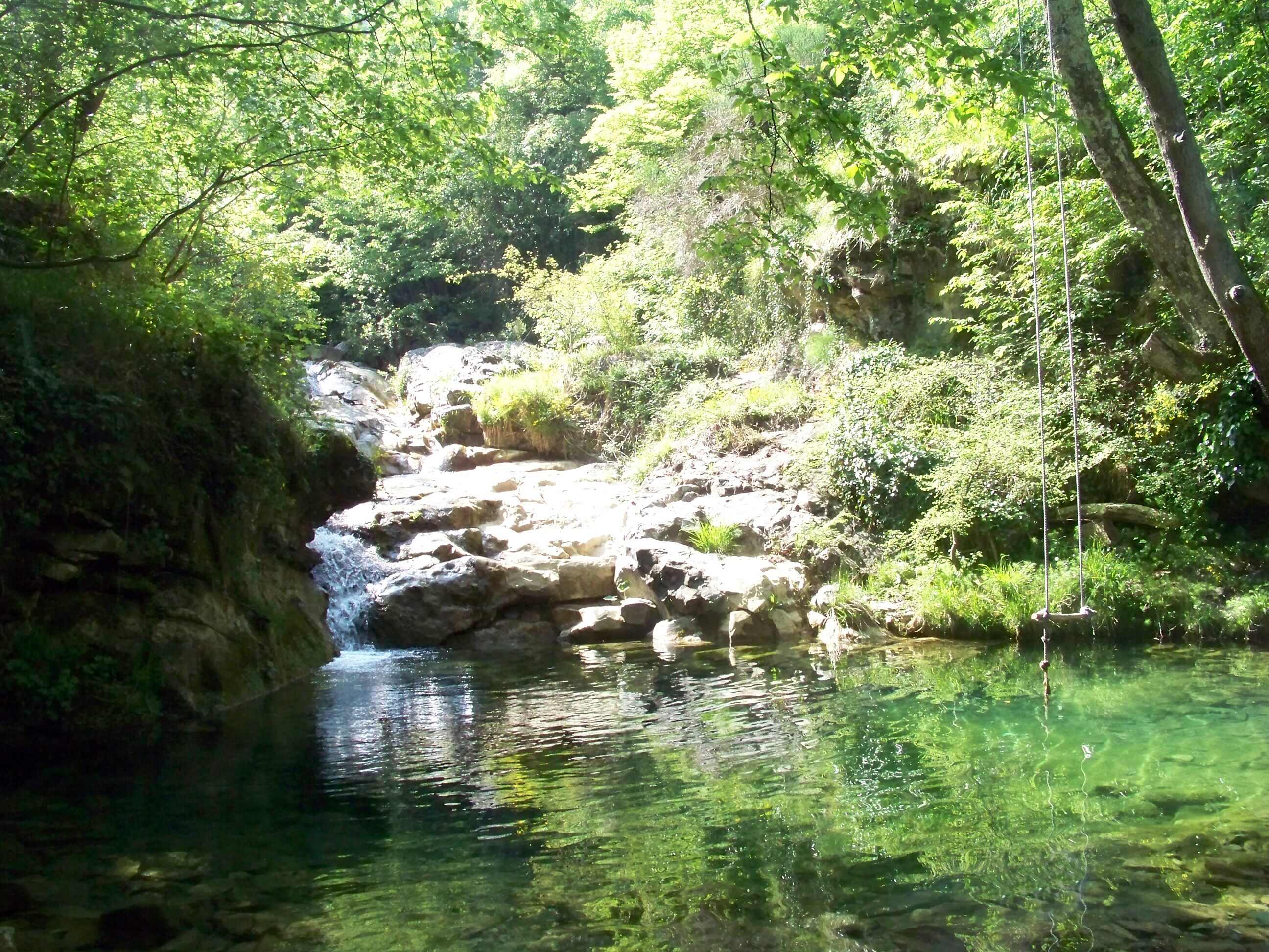Una fuente natural rodeada de rocas y follaje.