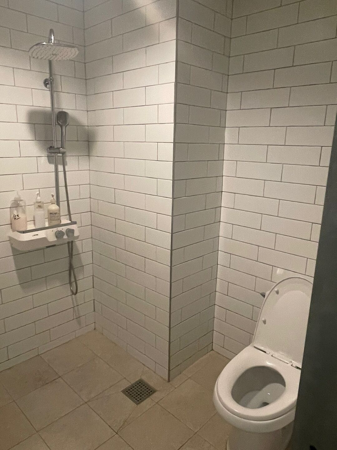 A small, tiled bathroom with a shower, toilet, and a shelf with toiletries.