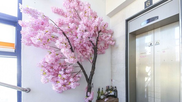 A reception area with a cherry blossom tree, a wooden bench, and a row of wine bottles.