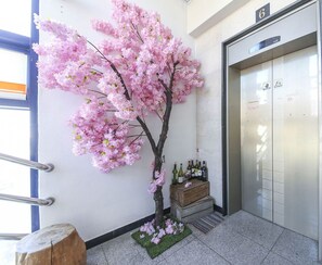 Hypo-allergenic bedding, desk, laptop workspace, soundproofing - Hanra Guesthouse (Jeju City)