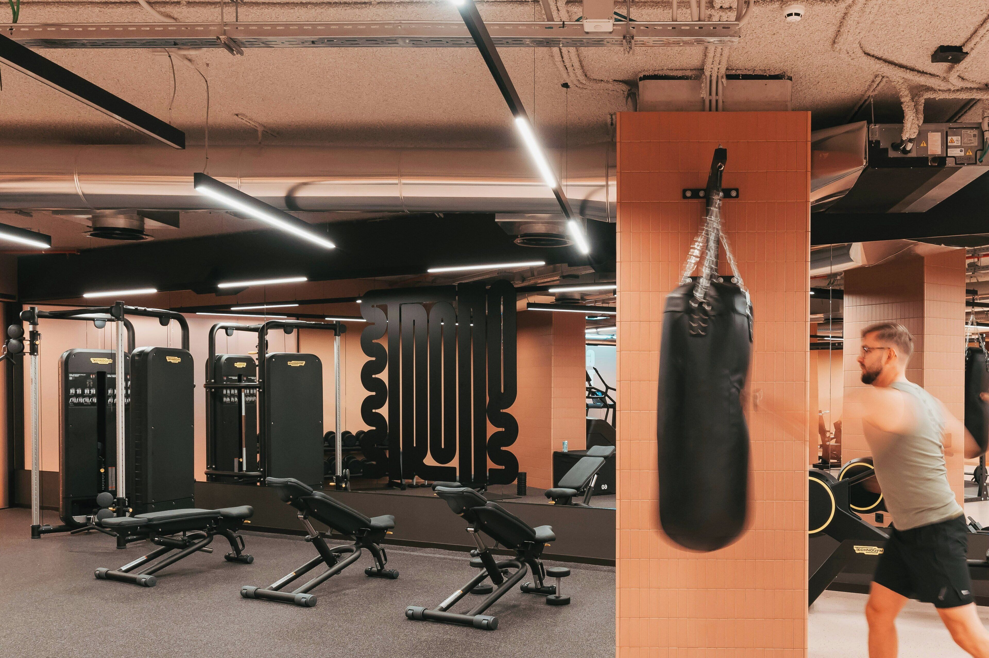 A gym with exercise equipment, a punching bag, and a treadmill.
