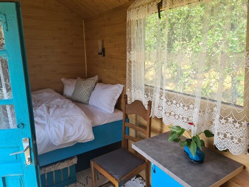 Poiana Stelelor destinatia potrivita pentru odihna si relaxare!
