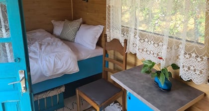 Poiana Stelelor destinatia potrivita pentru odihna si relaxare!