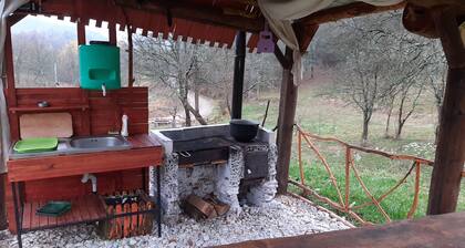 Poiana Stelelor destinatia potrivita pentru odihna si relaxare!