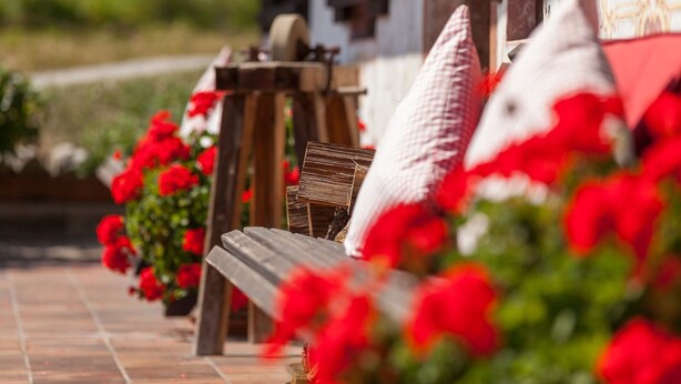 A wooden bench with a white cushion, surrounded by red flowers. - Fewo Sonntagshorn Terrasse, Küche, 1 Schlaf- und 1 Wohn-/schlafz., max 5 Pers (Ruhpolding)
