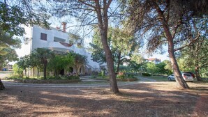 A white building with a garden in front, surrounded by trees. - Apartments and Room Agata (Medulin)