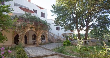 Apartments and Room Agata