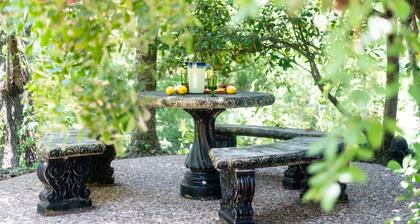 Suite #8: "Where You Need To Be"- 10min to Round Top, middle of Austin & Houston