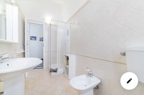Shower, hair dryer, bidet, towels