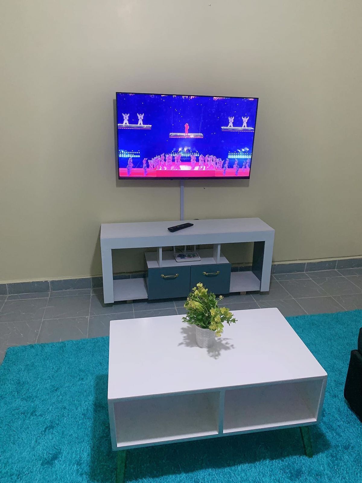 Business Apartment | Living area | 24-inch Smart TV with digital channels
