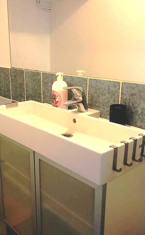 Hair dryer, towels, soap, shampoo - Logement Entier : Appartement - Besançon, France (Besançon)
