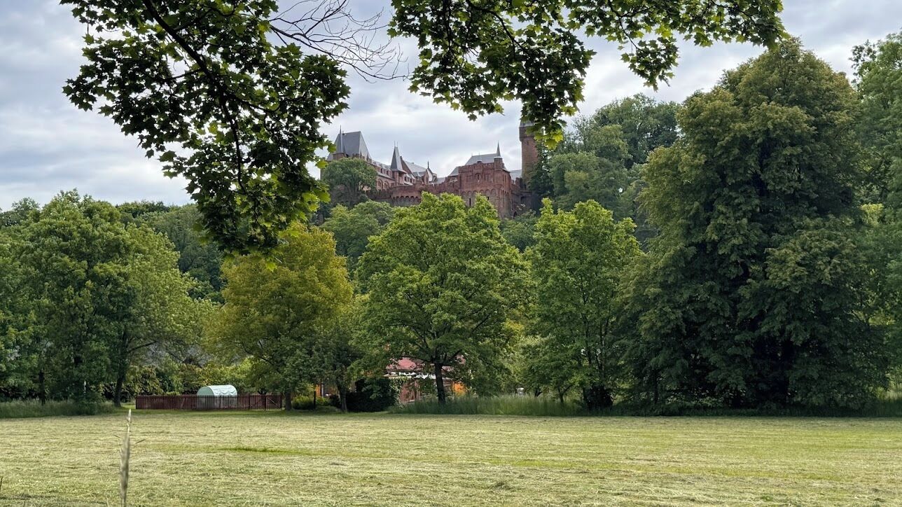 Un château entouré d’une forêt dense et d’un champ herbeux.