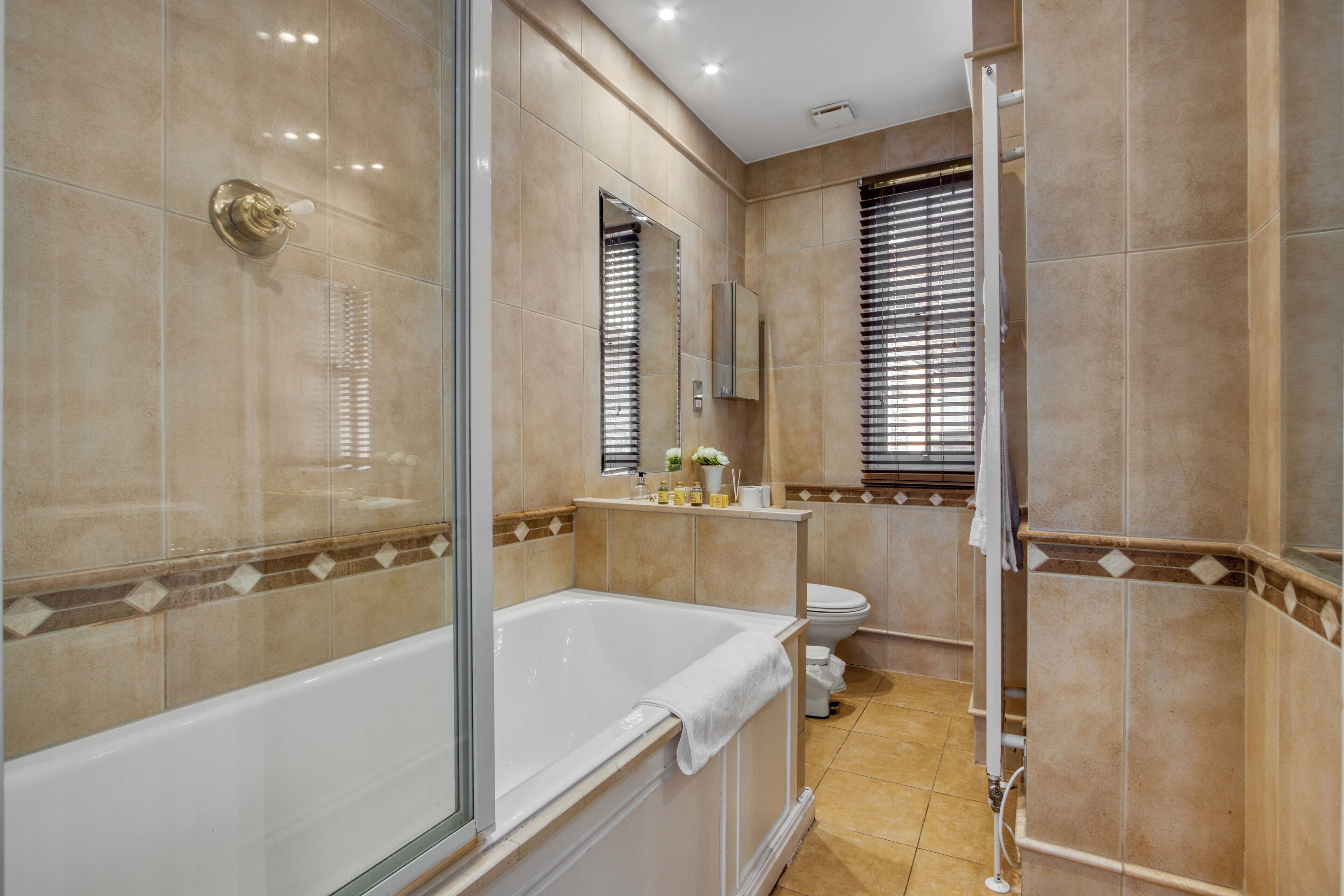 Hair dryer, towels, soap, shampoo