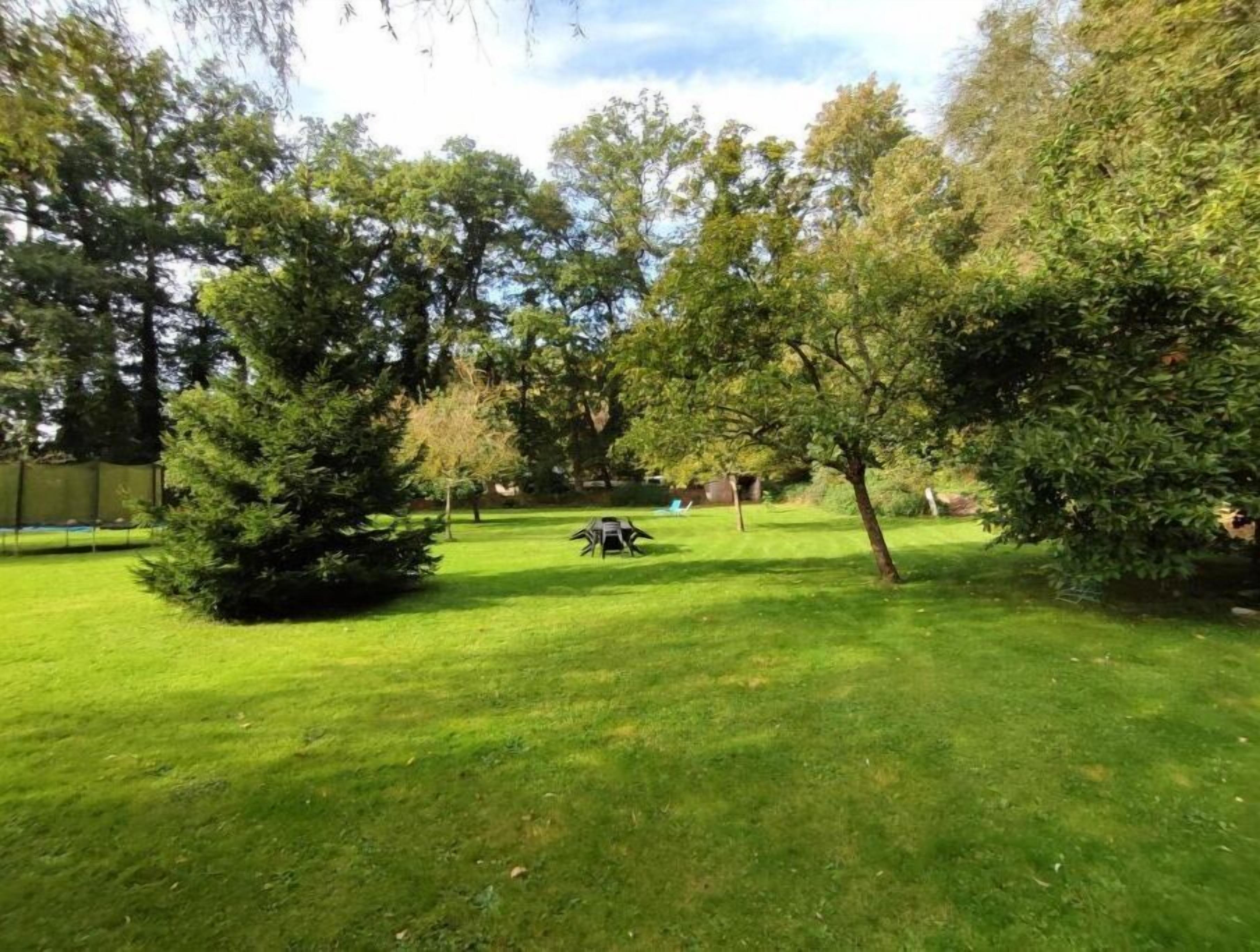 Un espace verdoyant bien entretenu, avec des arbres et un banc.