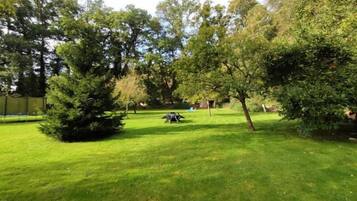 Un espace verdoyant bien entretenu, avec des arbres et un banc.