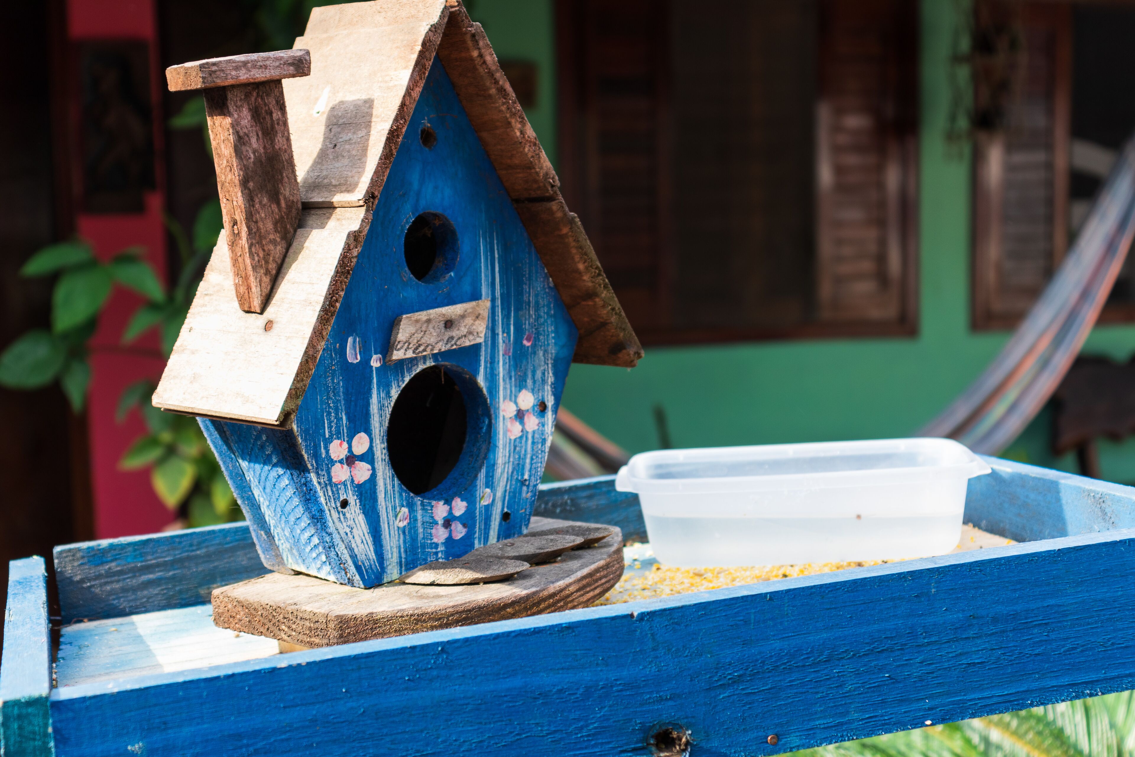 Photo - Pousada Chalé do Beija Flor