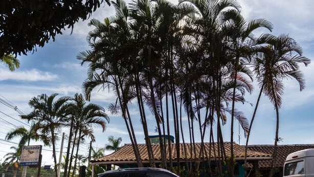 A black SUV parked in front of a building with a tiled roof and palm trees. - Pousada Chalé do Beija-flor  (Ubatuba)