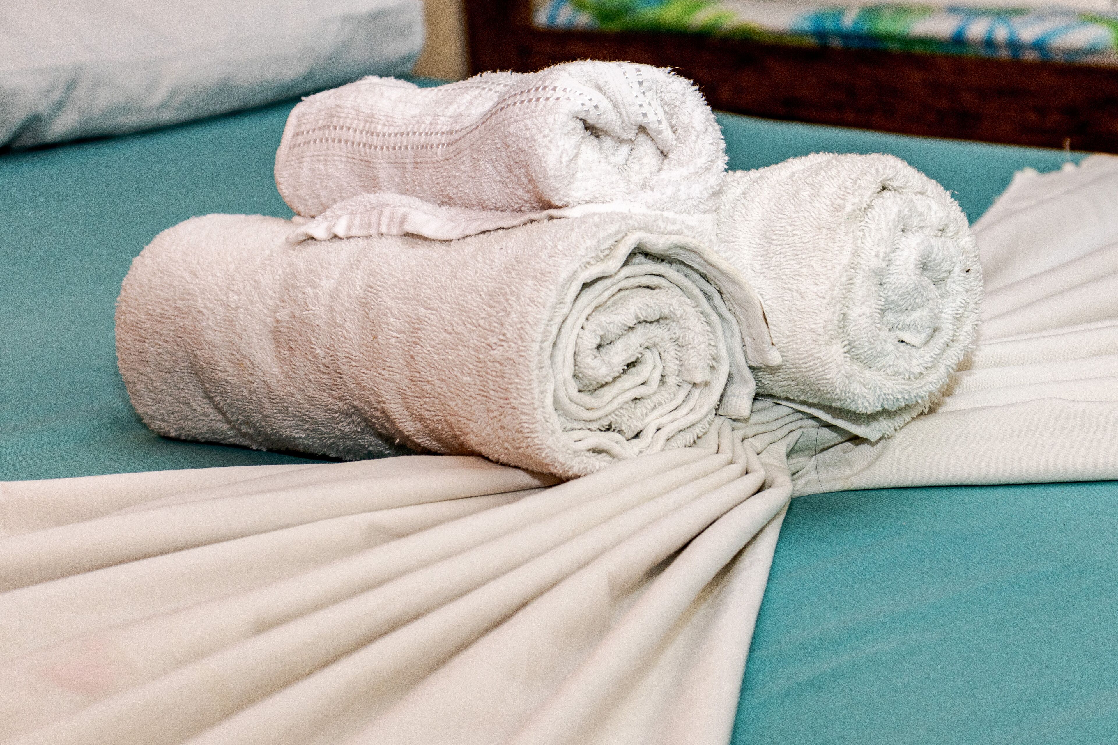 Photo - Pousada Chalé do Beija Flor