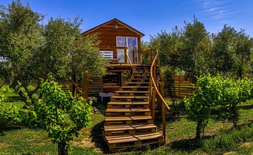 Terra Vine Collection - Dream Catcher 